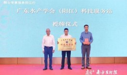 邓为最新爆料新闻报道,揭秘事件背后惊人真相